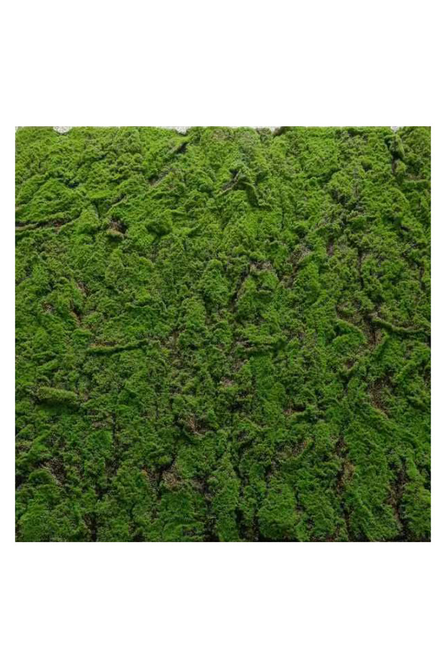 GGREENERY GGREENERIES GGREENERIE ARTIFICIAL ARTIFICIALS FLOWER FLOWERS PANEL PANELS WALL WALLS FLOWER PANEL FLOWER PANELS FLOWER WALL FLOWER WALLS GREEN GREENS LEAF LEAFS LEAVES LEAFE LEAVE GREENERY GREENERIES GREENERIE MOSS MOSSES MOS LUSH LUSHES PREMIUM PREMIA