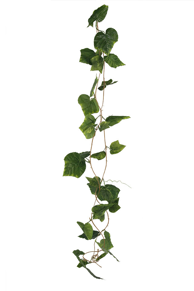GGREENERY GGREENERIES GGREENERIE ARTIFICIAL ARTIFICIALS FLOWER FLOWERS PLANT PLANTS SYNTHETIC SYNTHETICS FAKE FAKES SILK SILKS PLASTIC PLASTICS GARLAND GARLANDS STRING STRINGS STRAND STRANDS IVY IVIES IVIE 180CM 180CMS (162 (162S LEAVES) LEAVES)S LEAVES LEAFE LEAVE LEAF LEAFS GRAPE GRAPES GREENERY GREENERIES GREENERIE
