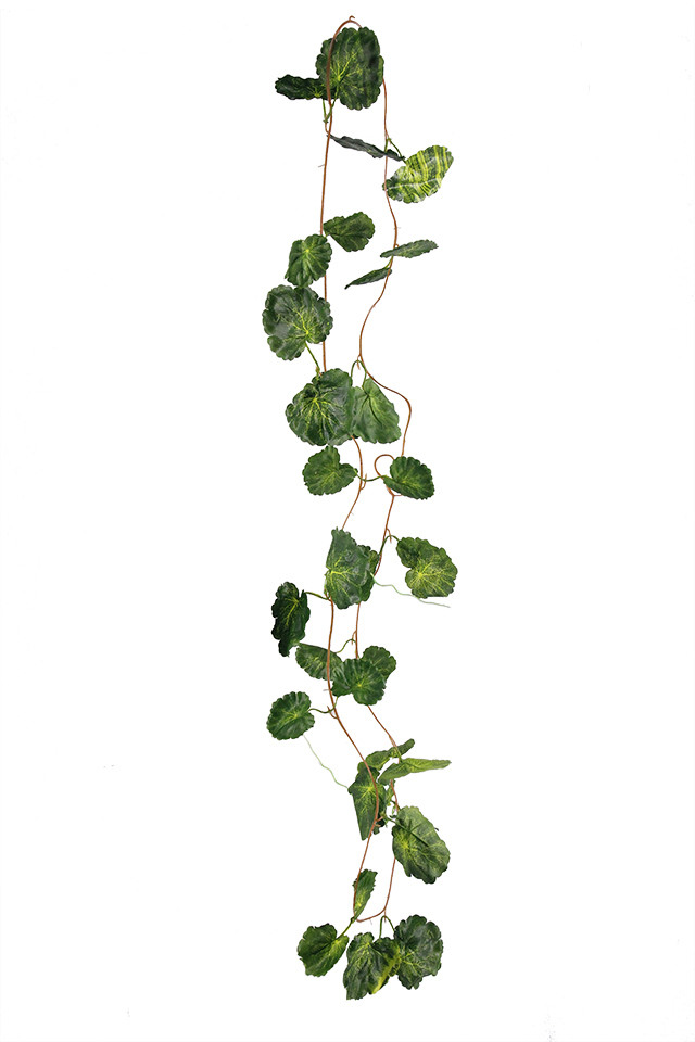 GGREENERY GGREENERIES GGREENERIE ARTIFICIAL ARTIFICIALS FLOWER FLOWERS PLANT PLANTS SYNTHETIC SYNTHETICS FAKE FAKES SILK SILKS PLASTIC PLASTICS GARLAND GARLANDS STRING STRINGS STRAND STRANDS IVY IVIES IVIE 180CM 180CMS (162 (162S LEAVES) LEAVES)S LEAVES LEAFE LEAVE LEAF LEAFS BEGONIA BEGONIUM GREENERY GREENERIES GREENERIE GERANIUM GERANIA