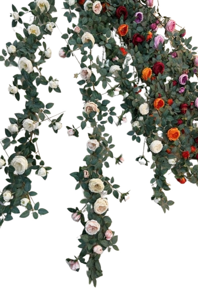 GGREENERY GGREENERIES GGREENERIE FLOWER FLOWERS ARTIFICIAL ARTIFICIALS PLANT PLANTS SYNTHETIC SYNTHETICS FAKE FAKES SILK SILKS PLASTIC PLASTICS GARLAND GARLANDS STRING STRINGS STRAND STRANDS ROSE ROSES 160CM 160CMS LEAVES LEAFE LEAVE LEAF LEAFS GREENERY GREENERIES GREENERIE DELUXE DELUXES DELUX