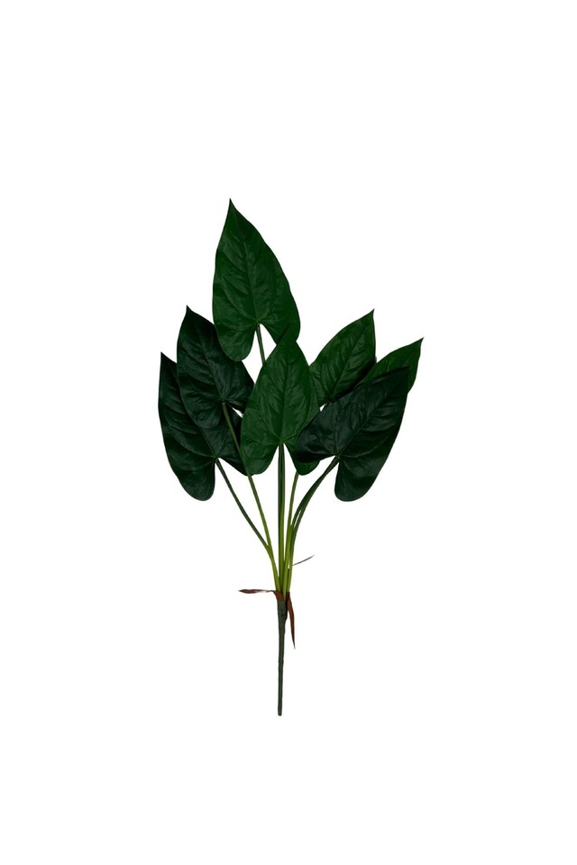 GGREENERY GGREENERIES GGREENERIE LLEAF LLEAFS ARTIFICIAL ARTIFICIALS FLOWER FLOWERS PLANT PLANTS SYNTHETIC SYNTHETICS FAKE FAKES SILK SILKS PLASTIC PLASTICS LEAF LEAFS LEAVE LEAVES LEAFE GREEN GREENS GREENERY GREENERIES GREENERIE FOLIAGE FOLIAGES ANTHURIUM ANTHURIA 98CM 98CMS ARUM ARUMS X