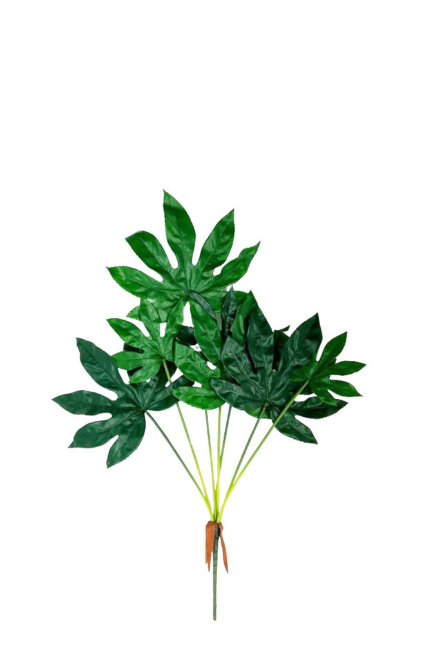 GGREENERY GGREENERIES GGREENERIE LLEAF LLEAFS ARTIFICIAL ARTIFICIALS FLOWER FLOWERS PLANT PLANTS SYNTHETIC SYNTHETICS FAKE FAKES SILK SILKS PLASTIC PLASTICS LEAF LEAFS LEAVE LEAVES LEAFE GREEN GREENS GREENERY GREENERIES GREENERIE FOLIAGE FOLIAGES ROUND ROUNDS 92CM 92CMS ARALIA ARALIUM X