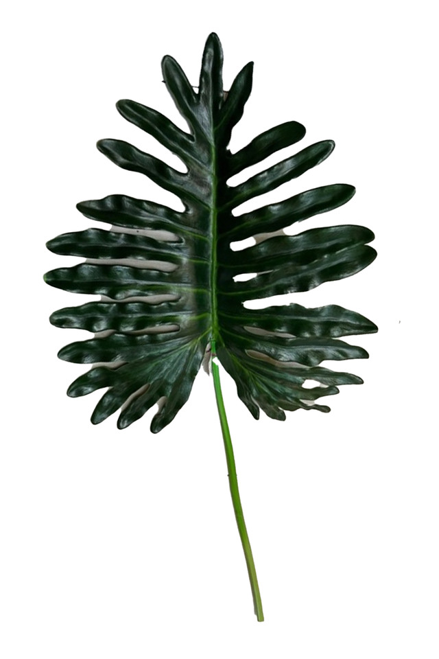 GGREENERY GGREENERIES GGREENERIE LLEAF LLEAFS ARTIFICIAL ARTIFICIALS FLOWER FLOWERS PLANT PLANTS SYNTHETIC SYNTHETICS FAKE FAKES SILK SILKS PLASTIC PLASTICS LEAF LEAFS LEAVE LEAVES LEAFE GREEN GREENS GREENERY GREENERIES GREENERIE FOLIAGE FOLIAGES PHILDENDERON PHILDENDERONS 99CM 99CMS GIANT GIANTS PHILODENDRON PHILODENDRONS
