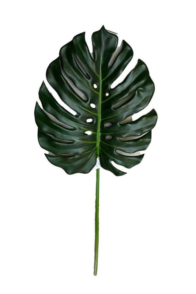 GGREENERY GGREENERIES GGREENERIE LLEAF LLEAFS SPLIT SPLITS PHILO PHILOS MONSTERIA MONSTERIUM 90CM 90CMS LEAVES LEAFE LEAVE LEAF LEAFS GREEN GREENS GREENERY GREENERIES GREENERIE ARTIFICIAL ARTIFICIALS GIANT GIANTS MONSTERA MONSTERAS