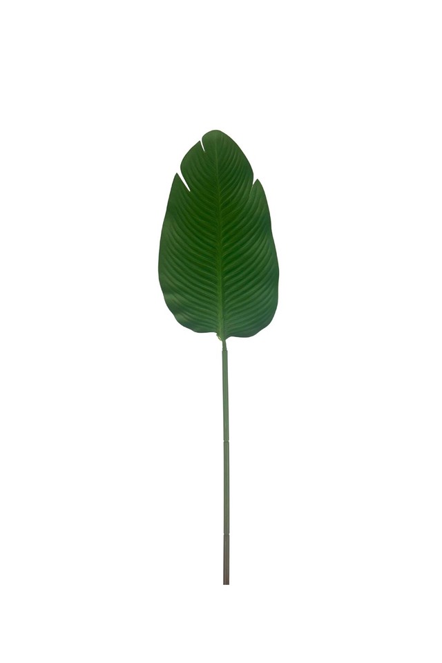 GGREENERY GGREENERIES GGREENERIE LLEAF LLEAFS ARTIFICIAL ARTIFICIALS FLOWER FLOWERS PLANT PLANTS SYNTHETIC SYNTHETICS FAKE FAKES SILK SILKS PLASTIC PLASTICS LEAF LEAFS LEAVE LEAVES LEAFE GREEN GREENS GREENERY GREENERIES GREENERIE FOLIAGE FOLIAGES ROUND ROUNDS PRIVEL PRIVELS STEM STEMS 88CM 88CMS BANANA BANANAS PALM PALMS
