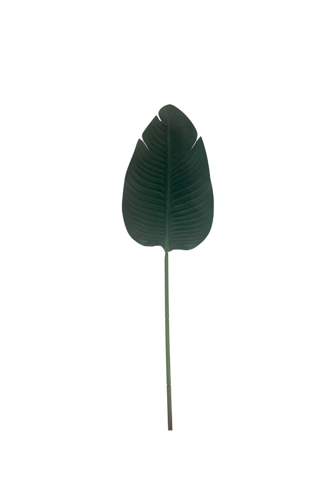 GGREENERY GGREENERIES GGREENERIE LLEAF LLEAFS ARTIFICIAL ARTIFICIALS FLOWER FLOWERS PLANT PLANTS SYNTHETIC SYNTHETICS FAKE FAKES SILK SILKS PLASTIC PLASTICS LEAF LEAFS LEAVE LEAVES LEAFE GREEN GREENS GREENERY GREENERIES GREENERIE FOLIAGE FOLIAGES ROUND ROUNDS PRIVEL PRIVELS STEM STEMS 88CM 88CMS BANANA BANANAS PALM PALMS