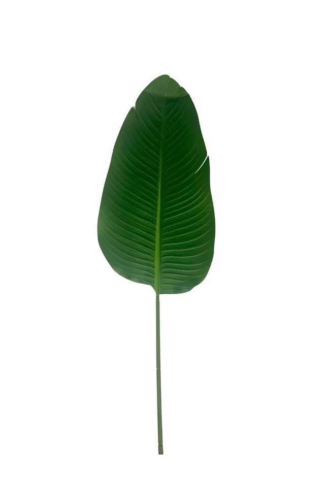 GGREENERY GGREENERIES GGREENERIE LLEAF LLEAFS ARTIFICIAL ARTIFICIALS FLOWER FLOWERS PLANT PLANTS SYNTHETIC SYNTHETICS FAKE FAKES SILK SILKS PLASTIC PLASTICS LEAF LEAFS LEAVE LEAVES LEAFE GREEN GREENS GREENERY GREENERIES GREENERIE FOLIAGE FOLIAGES ROUND ROUNDS PRIVEL PRIVELS STEM STEMS 88CM 88CMS BANANA BANANAS PALM PALMS