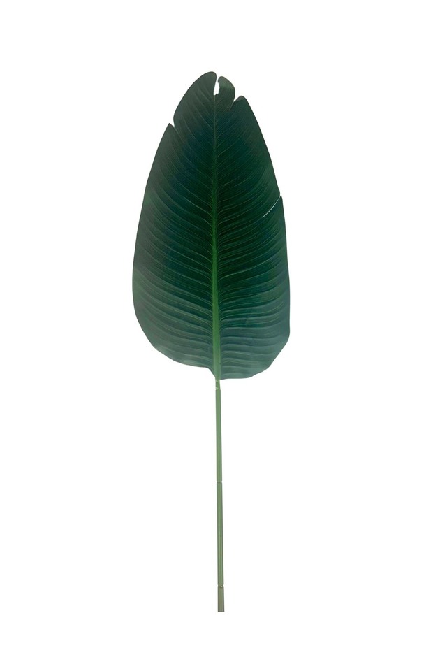 GGREENERY GGREENERIES GGREENERIE LLEAF LLEAFS ARTIFICIAL ARTIFICIALS FLOWER FLOWERS PLANT PLANTS SYNTHETIC SYNTHETICS FAKE FAKES SILK SILKS PLASTIC PLASTICS LEAF LEAFS LEAVE LEAVES LEAFE GREEN GREENS GREENERY GREENERIES GREENERIE FOLIAGE FOLIAGES ROUND ROUNDS PRIVEL PRIVELS STEM STEMS 88CM 88CMS BANANA BANANAS PALM PALMS