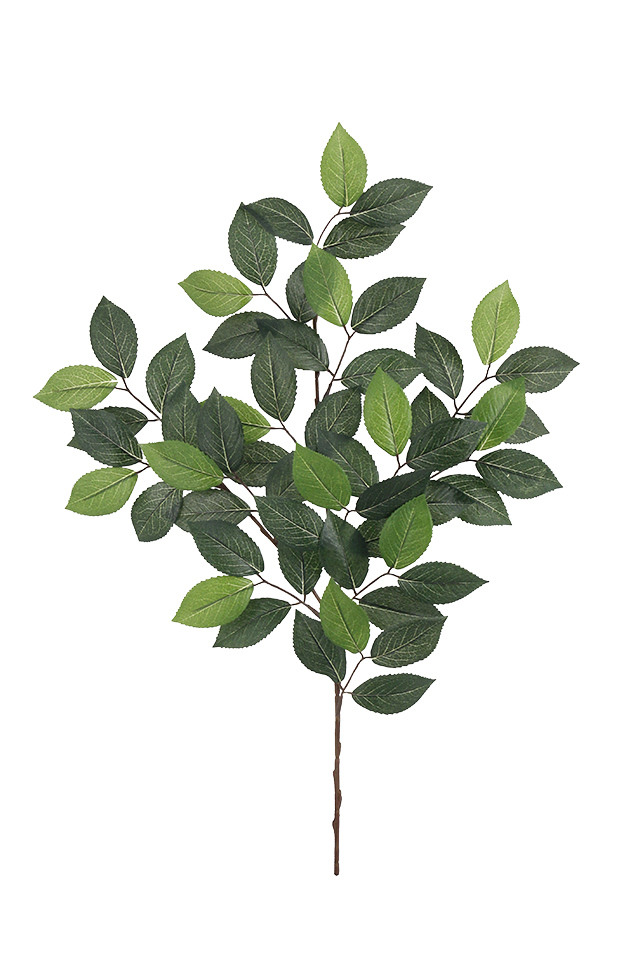 GGREENERY GGREENERIES GGREENERIE LEAF LEAFS ARTIFICIAL ARTIFICIALS FLOWER FLOWERS PLANT PLANTS SYNTHETIC SYNTHETICS FAKE FAKES SILK SILKS PLASTIC PLASTICS LEAVE LEAVES LEAFE GREEN GREENS GREENERY GREENERIES GREENERIE FOLIAGE FOLIAGES ROUND ROUNDS CAMELIA CAMELIUM CAMELLIA CAMELLIUM SPRAY SPRAYS SPRAIE FICUS FICU X