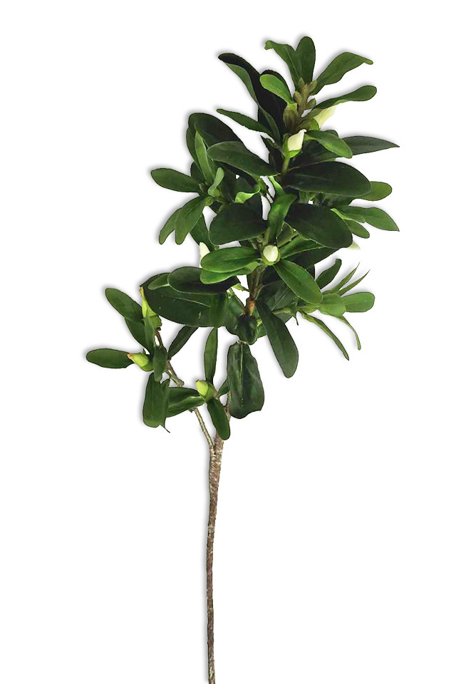 GGREENERY GGREENERIES GGREENERIE LEAF LEAFS ARTIFICIAL ARTIFICIALS FLOWER FLOWERS PLANT PLANTS SYNTHETIC SYNTHETICS FAKE FAKES SILK SILKS PLASTIC PLASTICS LEAVE LEAVES LEAFE GREEN GREENS GREENERY GREENERIES GREENERIE FOLIAGE FOLIAGES ROUND ROUNDS CAMELIA CAMELIUM CAMELLIA CAMELLIUM SPRAY SPRAYS SPRAIE WITH WITHS BUDS BUD
