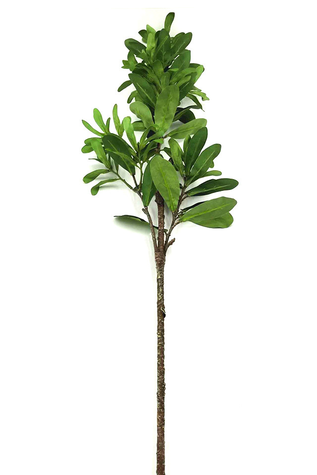 GGREENERY GGREENERIES GGREENERIE LEAF LEAFS ARTIFICIAL ARTIFICIALS FLOWER FLOWERS PLANT PLANTS SYNTHETIC SYNTHETICS FAKE FAKES SILK SILKS PLASTIC PLASTICS LEAVE LEAVES LEAFE GREEN GREENS GREENERY GREENERIES GREENERIE FOLIAGE FOLIAGES ROUND ROUNDS CAMELIA CAMELIUM CAMELLIA CAMELLIUM SPRAY SPRAYS SPRAIE LUSH LUSHES