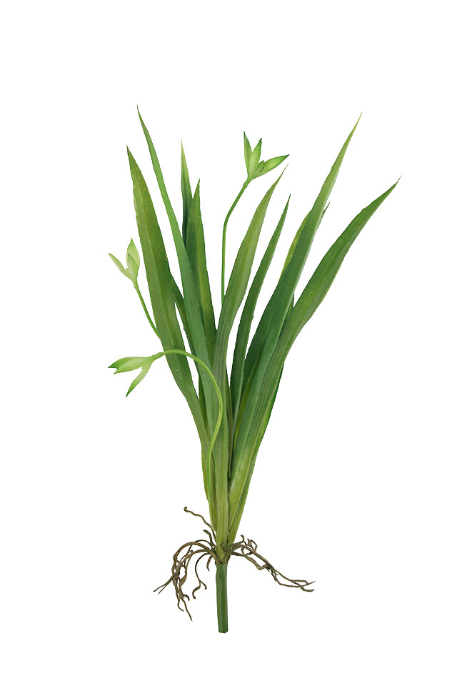 GGREENERY GGREENERIES GGREENERIE LLEAF LLEAFS ARTIFICIAL ARTIFICIALS FLOWER FLOWERS PLANT PLANTS SYNTHETIC SYNTHETICS FAKE FAKES SILK SILKS PLASTIC PLASTICS LEAF LEAFS LEAVE LEAVES LEAFE GREEN GREENS GREENERY GREENERIES GREENERIE FOLIAGE FOLIAGES ORCHID ORCHIDS ARRANGEMENT ARRANGEMENTS SPRAY SPRAYS SPRAIE X