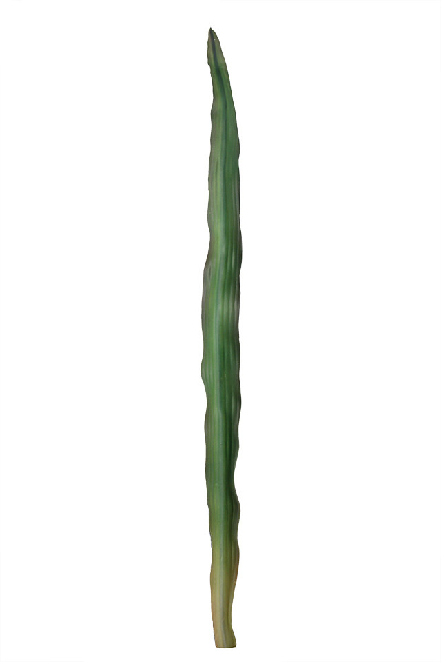 GGREENERY GGREENERIES GGREENERIE LLEAF LLEAFS ARTIFICIAL ARTIFICIALS FLOWER FLOWERS PLANT PLANTS SYNTHETIC SYNTHETICS FAKE FAKES SILK SILKS PLASTIC PLASTICS LEAF LEAFS LEAVE LEAVES LEAFE GREEN GREENS GREENERY GREENERIES GREENERIE FOLIAGE FOLIAGES 72CM 72CMS GYMEA GYMEAS BROAD BROADS LONG LONGS PU PUS