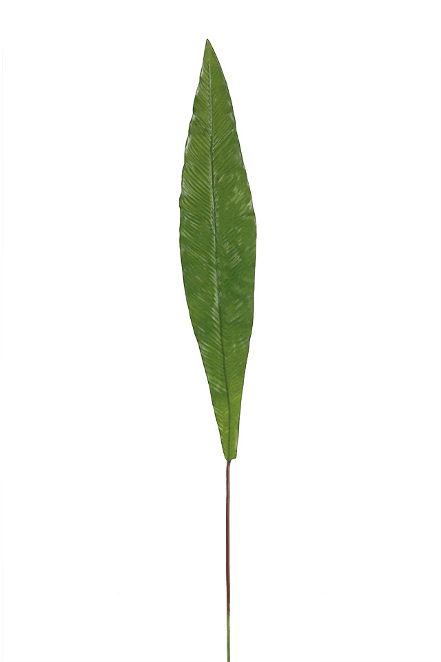 GGREENERY GGREENERIES GGREENERIE LLEAF LLEAFS ARTIFICIAL ARTIFICIALS FLOWER FLOWERS PLANT PLANTS SYNTHETIC SYNTHETICS FAKE FAKES SILK SILKS PLASTIC PLASTICS LEAF LEAFS LEAVE LEAVES LEAFE GREEN GREENS GREENERY GREENERIES GREENERIE FOLIAGE FOLIAGES 72CM 72CMS GYMEA GYMEAS BROAD BROADS LONG LONGS SPEAR SPEARS LARGE LARGES