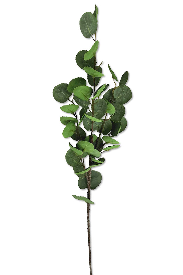 GREENERY GREENERIES GREENERIE LEAF LEAFS ARTIFICIAL ARTIFICIALS FLOWER FLOWERS PLANT PLANTS SYNTHETIC SYNTHETICS FAKE FAKES SILK SILKS PLASTIC PLASTICS LEAVE LEAVES LEAFE GREEN GREENS FOLIAGE FOLIAGES ROUND ROUNDS DOLLAR DOLLARS MONEY MONEIE SPRAY SPRAYS SPRAIE EUCALYPT EUCALYPTS LLEAF LLEAFS