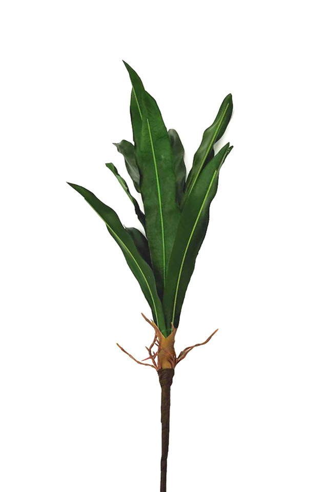GGREENERY GGREENERIES GGREENERIE LEAF LEAFS ARTIFICIAL ARTIFICIALS FLOWER FLOWERS PLANT PLANTS SYNTHETIC SYNTHETICS FAKE FAKES SILK SILKS PLASTIC PLASTICS LEAVE LEAVES LEAFE GREEN GREENS GREENERY GREENERIES GREENERIE FOLIAGE FOLIAGES ROUND ROUNDS SPRAY SPRAYS SPRAIE LLEAF LLEAFS LUSH LUSHES FILLER FILLERS