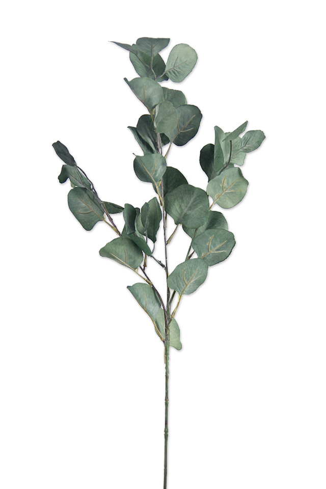 GGREENERY GGREENERIES GGREENERIE ARTIFICIAL ARTIFICIALS FLOWER FLOWERS PLANT PLANTS SYNTHETIC SYNTHETICS FAKE FAKES SILK SILKS PLASTIC PLASTICS LEAF LEAFS LEAVE LEAVES LEAFE GREEN GREENS GREENERY GREENERIES GREENERIE FOLIAGE FOLIAGES DOLLAR DOLLARS GUM GUMS 51CM 51CMS EUCALYPT EUCALYPTS EUCALYPTUS EUCALYPTU NATIVE NATIVES SPRAY SPRAYS SPRAIE