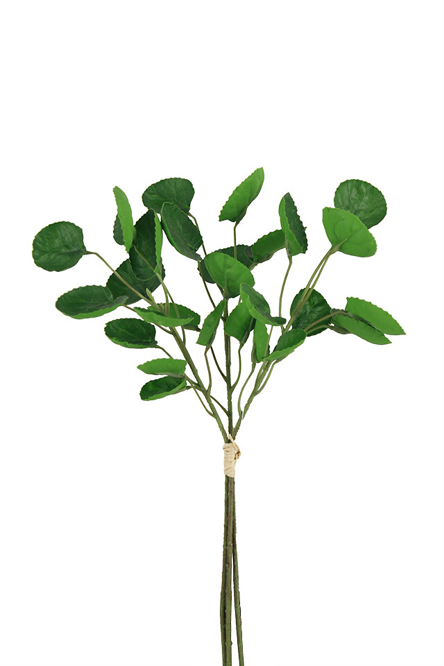 GGREENERY GGREENERIES GGREENERIE ARTIFICIAL ARTIFICIALS FLOWER FLOWERS PLANT PLANTS SYNTHETIC SYNTHETICS FAKE FAKES SILK SILKS PLASTIC PLASTICS LEAF LEAFS LEAVE LEAVES LEAFE GREEN GREENS GREENERY GREENERIES GREENERIE FOLIAGE FOLIAGES DOLLAR DOLLARS GUM GUMS 51CM 51CMS EUCALYPT EUCALYPTS EUCALYPTUS EUCALYPTU NATIVE NATIVES SPRAY SPRAYS SPRAIE MINI MINIS VIOLET VIOLETS STEMS STEM