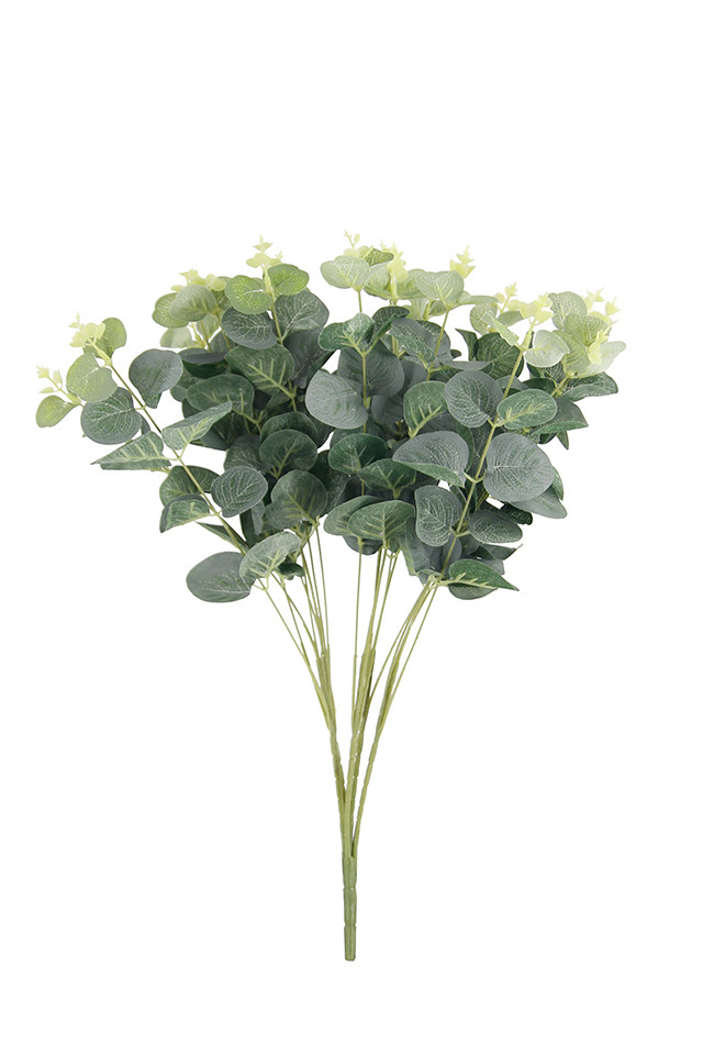GGREENERY GGREENERIES GGREENERIE ARTIFICIAL ARTIFICIALS FLOWER FLOWERS PLANT PLANTS SYNTHETIC SYNTHETICS FAKE FAKES SILK SILKS PLASTIC PLASTICS LEAF LEAFS LEAVE LEAVES LEAFE GREEN GREENS GREENERY GREENERIES GREENERIE FOLIAGE FOLIAGES DOLLAR DOLLARS GUM GUMS 51CM 51CMS EUCALYPT EUCALYPTS EUCALYPTUS EUCALYPTU NATIVE NATIVES SPRAY SPRAYS SPRAIE X
