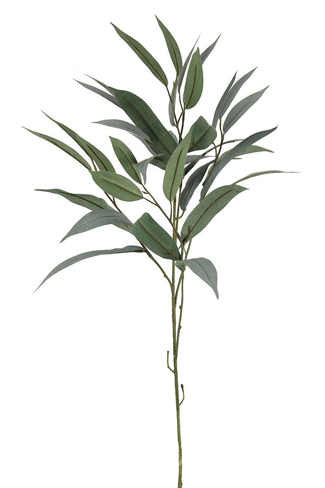 GGREENERY GGREENERIES GGREENERIE ARTIFICIAL ARTIFICIALS FLOWER FLOWERS PLANT PLANTS SYNTHETIC SYNTHETICS FAKE FAKES SILK SILKS PLASTIC PLASTICS LEAF LEAFS LEAVE LEAVES LEAFE GREEN GREENS GREENERY GREENERIES GREENERIE FOLIAGE FOLIAGES DOLLAR DOLLARS GUM GUMS 51CM 51CMS EUCALYPT EUCALYPTS EUCALYPTUS EUCALYPTU NATIVE NATIVES SPRAY SPRAYS SPRAIE LONG LONGS