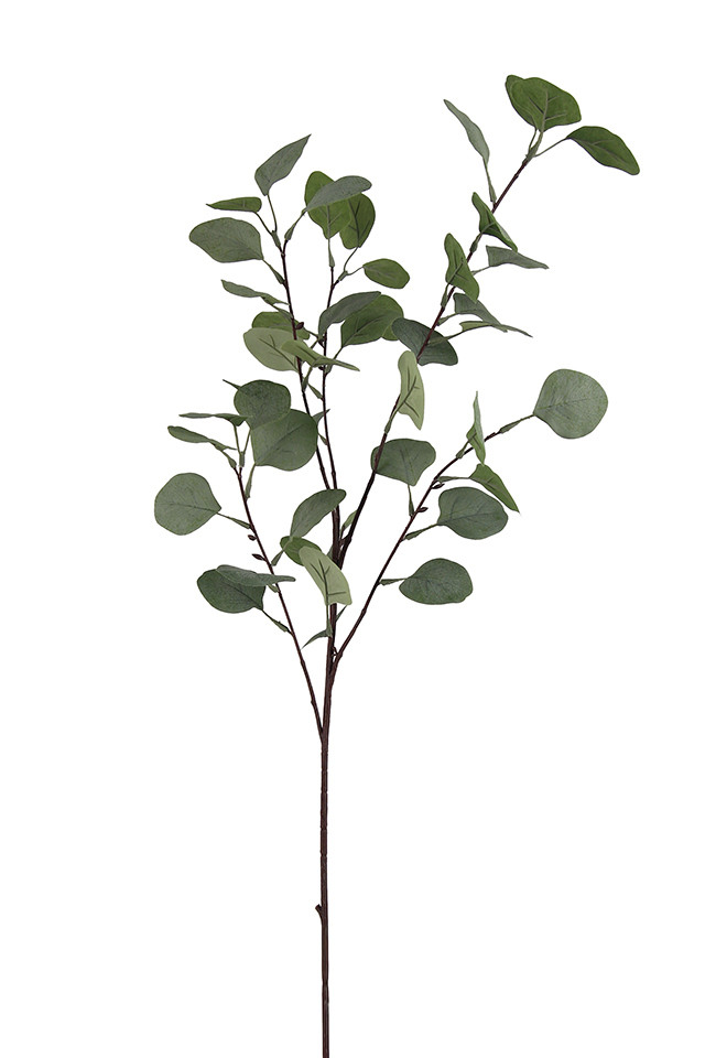 GGREENERY GGREENERIES GGREENERIE ARTIFICIAL ARTIFICIALS FLOWER FLOWERS PLANT PLANTS SYNTHETIC SYNTHETICS FAKE FAKES SILK SILKS PLASTIC PLASTICS LEAF LEAFS LEAVE LEAVES LEAFE GREEN GREENS GREENERY GREENERIES GREENERIE FOLIAGE FOLIAGES DOLLAR DOLLARS GUM GUMS 51CM 51CMS EUCALYPT EUCALYPTS EUCALYPTUS EUCALYPTU NATIVE NATIVES SPRAY SPRAYS SPRAIE