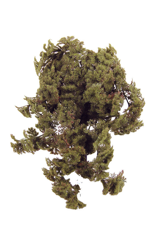 GGREENERY GGREENERIES GGREENERIE ARTIFICIAL ARTIFICIALS FLOWER FLOWERS PLANT PLANTS SYNTHETIC SYNTHETICS FAKE FAKES SILK SILKS PLASTIC PLASTICS LEAF LEAFS LEAVE LEAVES LEAFE GREEN GREENS GREENERY GREENERIES GREENERIE FOLIAGE FOLIAGES LUSH LUSHES FILLER FILLERS MOSS MOSSES MOS ARTIFICAL ARTIFICALS