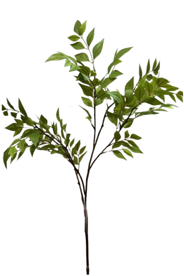 RUSCUS RUSCU FICUS FICU LEAVES LEAFE LEAVE SPRAY SPRAYS SPRAIE ARTIFICIAL ARTIFICIALS FLOWERS FLOWER