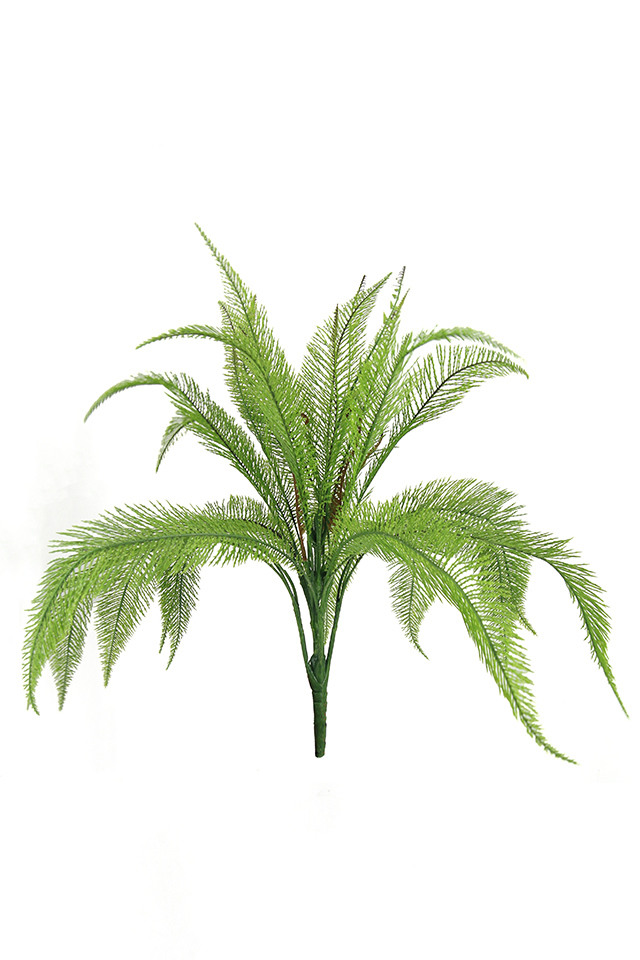 GGREENERY GGREENERIES GGREENERIE DELUXE DELUXES DELUX BOSTON BOSTONS FERN FERNS LEAVES LEAFE LEAVE LEAF LEAFS 77CM 77CMS ARTIFICIAL ARTIFICIALS GREENERY GREENERIES GREENERIE NEEDLE NEEDLES BUSH BUSHES