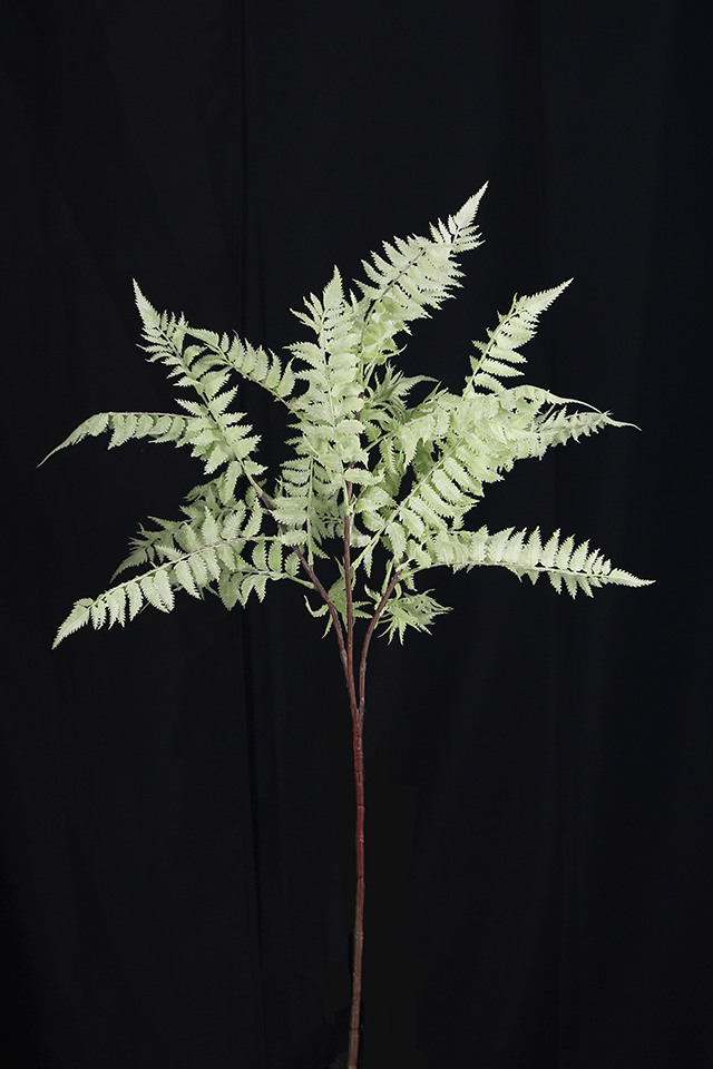 GGREENERY GGREENERIES GGREENERIE ARTIFICIAL ARTIFICIALS FLOWER FLOWERS PLANT PLANTS SYNTHETIC SYNTHETICS FAKE FAKES SILK SILKS PLASTIC PLASTICS LEAF LEAFS LEAVE LEAVES LEAFE GREEN GREENS GREENERY GREENERIES GREENERIE FOLIAGE FOLIAGES SWORD SWORDS FERN FERNS SPRAY SPRAYS SPRAIE DELUXE DELUXES DELUX