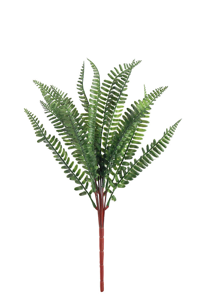 GGREENERY GGREENERIES GGREENERIE ARTIFICIAL ARTIFICIALS FLOWER FLOWERS PLANT PLANTS SYNTHETIC SYNTHETICS FAKE FAKES SILK SILKS PLASTIC PLASTICS LEAF LEAFS LEAVE LEAVES LEAFE GREEN GREENS GREENERY GREENERIES GREENERIE FOLIAGE FOLIAGES SWORD SWORDS FERN FERNS SPRAY SPRAYS SPRAIE X