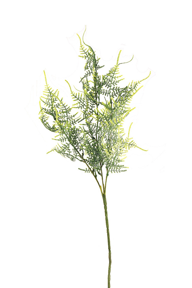 ARTIFICIAL ARTIFICIALS FERNS FERN GGREENERY GGREENERIES GGREENERIE FLOWER FLOWERS PLANT PLANTS SYNTHETIC SYNTHETICS FAKE FAKES SILK SILKS PLASTIC PLASTICS LEAF LEAFS LEAVE LEAVES LEAFE GREEN GREENS GREENERY GREENERIES GREENERIE FOLIAGE FOLIAGES TREE TREES SPRAY SPRAYS SPRAIE BRACKEN BRACKENS