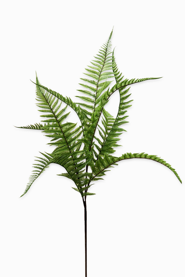 GGREENERY GGREENERIES GGREENERIE ARTIFICIAL ARTIFICIALS FLOWER FLOWERS PLANT PLANTS SYNTHETIC SYNTHETICS FAKE FAKES SILK SILKS PLASTIC PLASTICS LEAF LEAFS LEAVE LEAVES LEAFE GREEN GREENS GREENERY GREENERIES GREENERIE FOLIAGE FOLIAGES FERN FERNS SPRAY SPRAYS SPRAIE