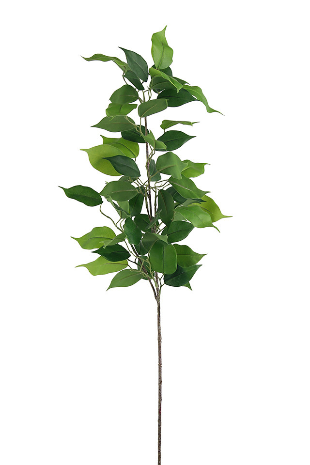 GGREENERY GGREENERIES GGREENERIE LLEAF LLEAFS ARTIFICIAL ARTIFICIALS FLOWER FLOWERS PLANT PLANTS SYNTHETIC SYNTHETICS FAKE FAKES SILK SILKS PLASTIC PLASTICS LEAF LEAFS LEAVE LEAVES LEAFE GREEN GREENS GREENERY GREENERIES GREENERIE FOLIAGE FOLIAGES DELUXE DELUXES DELUX FICUS FICU SPRAY SPRAYS SPRAIE