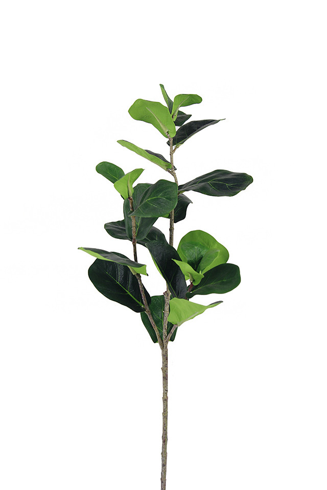 GGREENERY GGREENERIES GGREENERIE LLEAF LLEAFS ARTIFICIAL ARTIFICIALS FLOWER FLOWERS PLANT PLANTS SYNTHETIC SYNTHETICS FAKE FAKES SILK SILKS PLASTIC PLASTICS LEAF LEAFS LEAVE LEAVES LEAFE GREEN GREENS GREENERY GREENERIES GREENERIE FOLIAGE FOLIAGES FICUS FICU FIDDLE FIDDLES LYRATA LYRATUM SPRAY SPRAYS SPRAIE