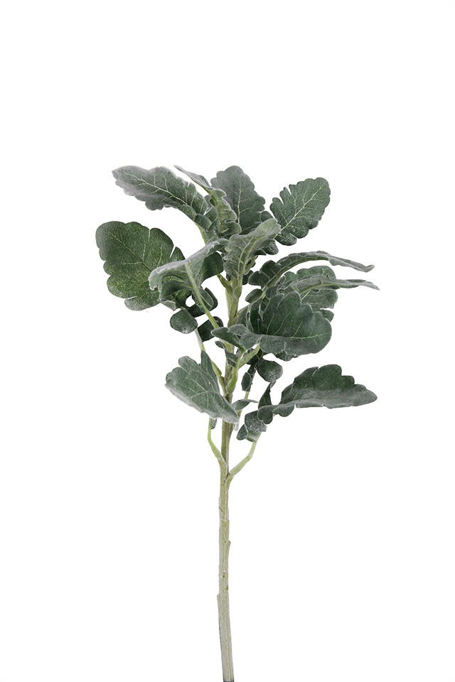 GGREENERY GGREENERIES GGREENERIE LLEAF LLEAFS ARTIFICIAL ARTIFICIALS FLOWER FLOWERS PLANT PLANTS SYNTHETIC SYNTHETICS FAKE FAKES SILK SILKS PLASTIC PLASTICS LEAF LEAFS LEAVE LEAVES LEAFE GREEN GREENS GREENERY GREENERIES GREENERIE FOLIAGE FOLIAGES FLOCKED FLOCKEDS SILVER SILVERS SUADE SUADES