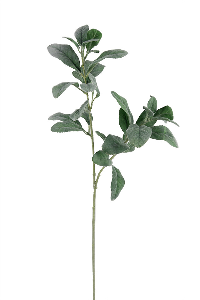 GGREENERY GGREENERIES GGREENERIE LLEAF LLEAFS ARTIFICIAL ARTIFICIALS FLOWER FLOWERS PLANT PLANTS SYNTHETIC SYNTHETICS FAKE FAKES SILK SILKS PLASTIC PLASTICS LEAF LEAFS LEAVE LEAVES LEAFE GREEN GREENS GREENERY GREENERIES GREENERIE FOLIAGE FOLIAGES LAMB LAMBS LAMB'S LAMB' EAR EARS TOUNGE TOUNGES S TONGUE TONGUES SPRAY SPRAYS SPRAIE