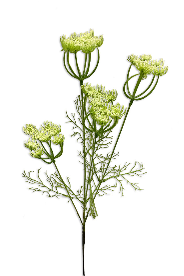 GGREENERY GGREENERIES GGREENERIE FLOWER FLOWERS ARTIFICIAL ARTIFICIALS LEAF LEAFS LEAVES LEAFE LEAVE FILLER FILLERS GREENERY GREENERIES GREENERIE FERN FERNS TRAIL TRAILS NATIVE NATIVES WILD WILDS FIELD FIELDS GYP GYPS