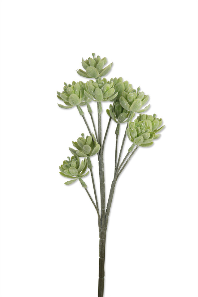 GGREENERY GGREENERIES GGREENERIE ARTIFICIAL ARTIFICIALS FLOWERS FLOWER LEAF LEAFS LEAVES LEAFE LEAVE FILLER FILLERS GREENERY GREENERIES GREENERIE FERN FERNS TRAIL TRAILS SUCCULENT SUCCULENTS SPRAY SPRAYS SPRAIE