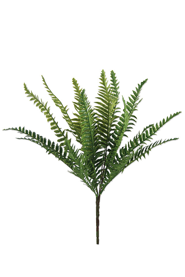 GGREENERY GGREENERIES GGREENERIE ARTIFICIAL ARTIFICIALS FLOWERS FLOWER LEAF LEAFS LEAVES LEAFE LEAVE FILLER FILLERS GREENERY GREENERIES GREENERIE FERN FERNS TRAIL TRAILS SPRAY SPRAYS SPRAIE