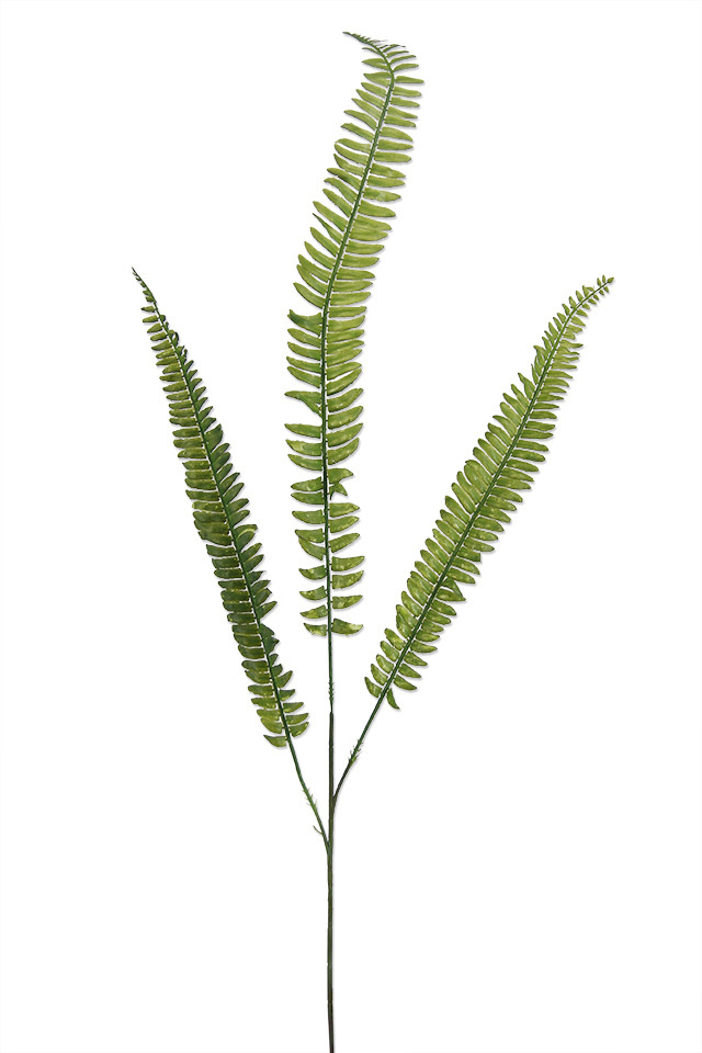 GGREENERY GGREENERIES GGREENERIE ARTIFICIAL ARTIFICIALS FLOWERS FLOWER LEAF LEAFS LEAVES LEAFE LEAVE FILLER FILLERS GREENERY GREENERIES GREENERIE FERN FERNS TRAIL TRAILS TALL TALLS SPRAY SPRAYS SPRAIE X FRONDS FROND