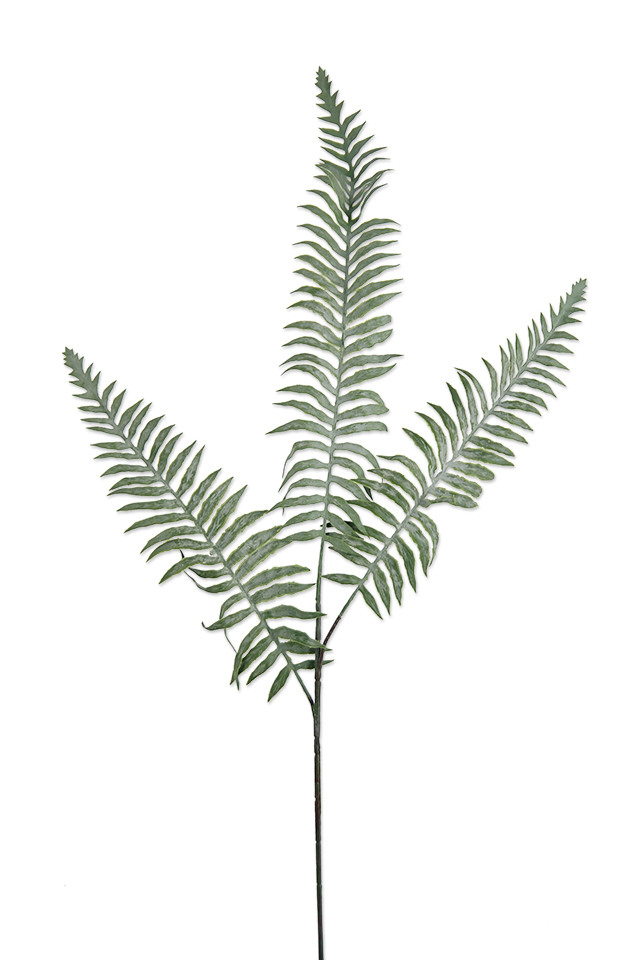 GGREENERY GGREENERIES GGREENERIE ARTIFICIAL ARTIFICIALS FLOWERS FLOWER LEAF LEAFS LEAVES LEAFE LEAVE FILLER FILLERS GREENERY GREENERIES GREENERIE FERN FERNS TRAIL TRAILS DUSTY DUSTIES DUSTIE SPRAY SPRAYS SPRAIE X FRONDS FROND