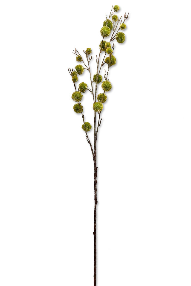 GGREENERY GGREENERIES GGREENERIE ARTIFICIAL ARTIFICIALS FLOWERS FLOWER FERN FERNS LEAVES LEAFE LEAVE LLEAVES LLEAFE LLEAVE LYCHEE LYCHEES NATURAL NATURALS FRUIT FRUITS SPRAY SPRAYS SPRAIE BRANCH BRANCHES BERRIES BERRY BERRIE
