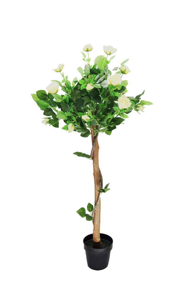 ARTIFICIAL ARTIFICIALS FLOWER FLOWERS PLANT PLANTS SYNTHETIC SYNTHETICS FAKE FAKES SILK SILKS PLASTIC PLASTICS POT POTS POTTED POTTEDS TREE TREES STANDARD STANDARDS ROSE ROSES BUSH BUSHES HEAD HEADS