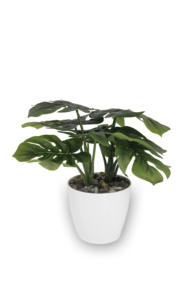 GGREENERY GGREENERIES GGREENERIE ARRANGEMENTS ARRANGEMENT ARTIFICIAL ARTIFICIALS POTTED POTTEDS URN URNS GREENERY GREENERIES GREENERIE FLOWER FLOWERS MONSTERIA MONSTERIUM PLANTS PLANT MONSTERA MONSTERAS LEAF LEAFS SPRAY SPRAYS SPRAIE LEAVES LEAFE LEAVE