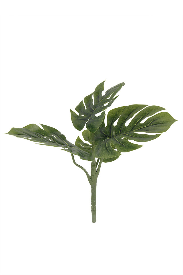 GGREENERY GGREENERIES GGREENERIE ARRANGEMENTS ARRANGEMENT ARTIFICIAL ARTIFICIALS POTTED POTTEDS URN URNS GREENERY GREENERIES GREENERIE FLOWER FLOWERS MONSTERIA MONSTERIUM MONSTERA MONSTERAS LEAF LEAFS SPRAY SPRAYS SPRAIE LEAVES LEAFE LEAVE