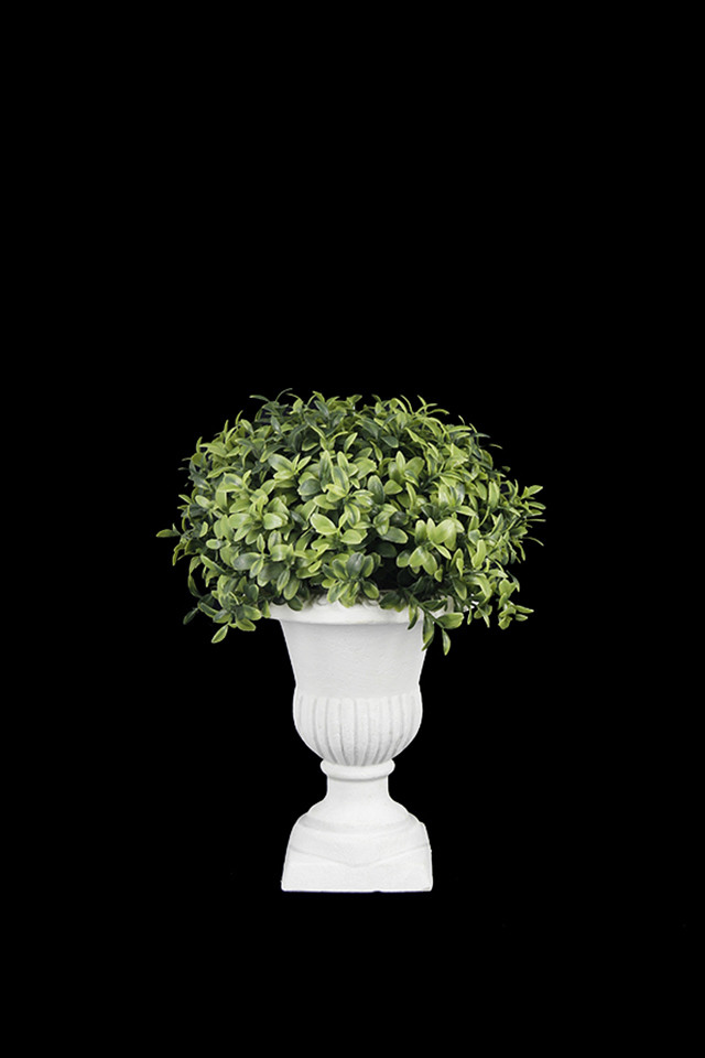 GGREENERY GGREENERIES GGREENERIE ARRANGEMENTS ARRANGEMENT ARTIFICIAL ARTIFICIALS POTTED POTTEDS URN URNS GREENERY GREENERIES GREENERIE FLOWER FLOWERS CLASSIC CLASSICS SMALL SMALLS
