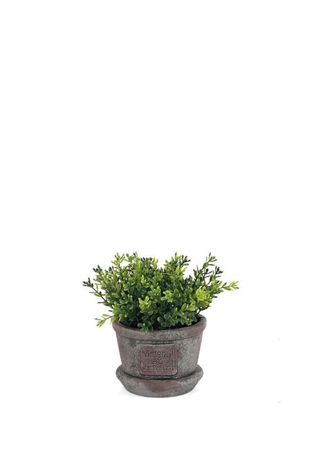 GGREENERY GGREENERIES GGREENERIE ARRANGEMENTS ARRANGEMENT ARTIFICIAL ARTIFICIALS POTTED POTTEDS URN URNS GREENERY GREENERIES GREENERIE FLOWER FLOWERS SMALL SMALLS CYLINDER CYLINDERS