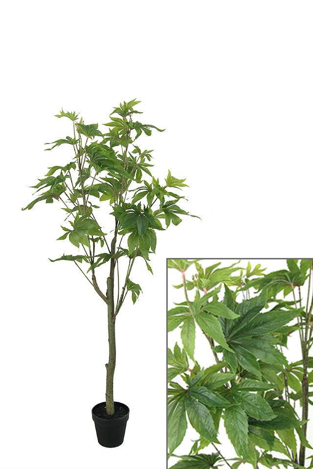 GGREENERY GGREENERIES GGREENERIE ARTIFICIAL ARTIFICIALS FLOWER FLOWERS PLANT PLANTS SYNTHETIC SYNTHETICS FAKE FAKES SILK SILKS PLASTIC PLASTICS POT POTS POTTED POTTEDS TREE TREES SMALL SMALLS JAPANESE JAPANESES MAPLE MAPLES