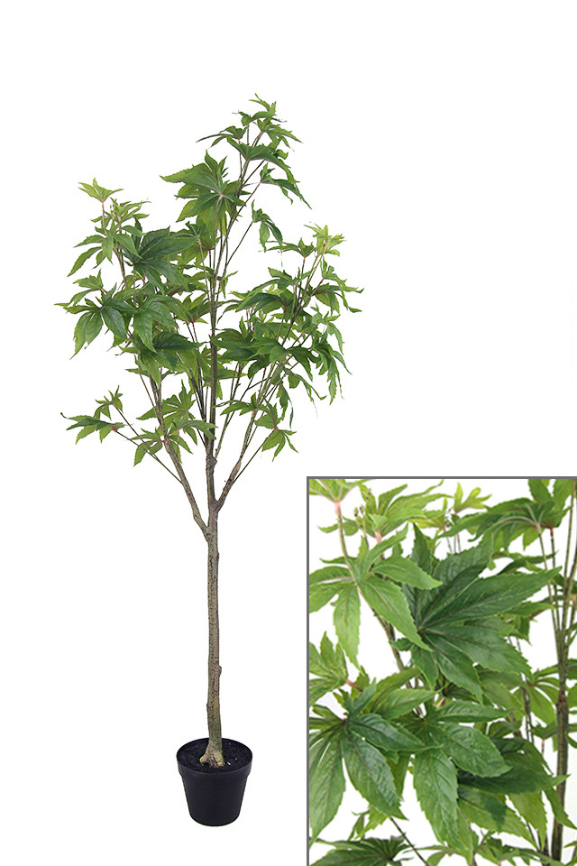GGREENERY GGREENERIES GGREENERIE ARTIFICIAL ARTIFICIALS FLOWER FLOWERS PLANT PLANTS SYNTHETIC SYNTHETICS FAKE FAKES SILK SILKS PLASTIC PLASTICS POT POTS POTTED POTTEDS TREE TREES MEDIUM MEDIA JAPANESE JAPANESES MAPLE MAPLES