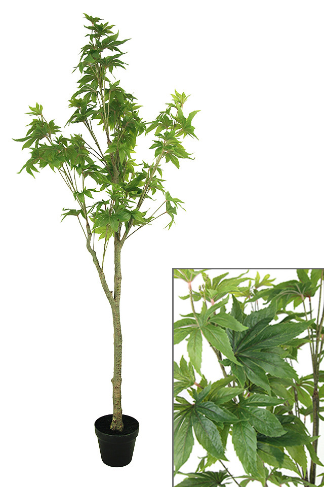 GGREENERY GGREENERIES GGREENERIE ARTIFICIAL ARTIFICIALS FLOWER FLOWERS PLANT PLANTS SYNTHETIC SYNTHETICS FAKE FAKES SILK SILKS PLASTIC PLASTICS POT POTS POTTED POTTEDS TREE TREES LARGE LARGES JAPANESE JAPANESES MAPLE MAPLES